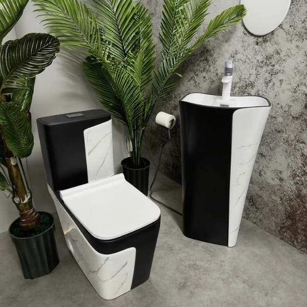Ensemble WC Monobloc + Lavabo Colonne Noir & Marbre Blanc - Image 2