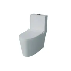 WC Monobloc Blanc Design Ovale Élancé — Moderne et Épuré